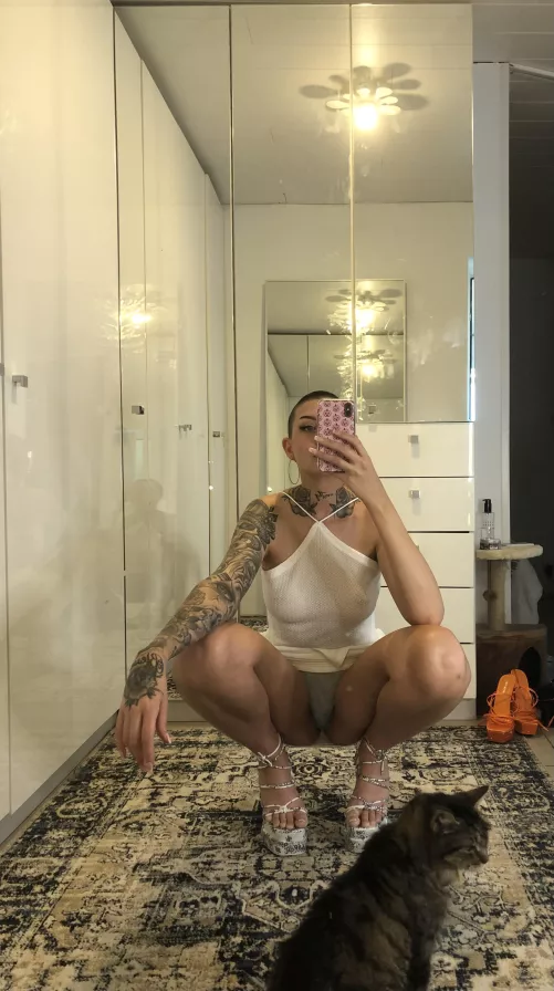 Tell me which kitty you want x