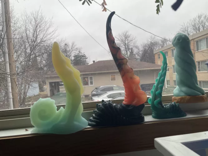 Tentacle Tuesday! 🦑