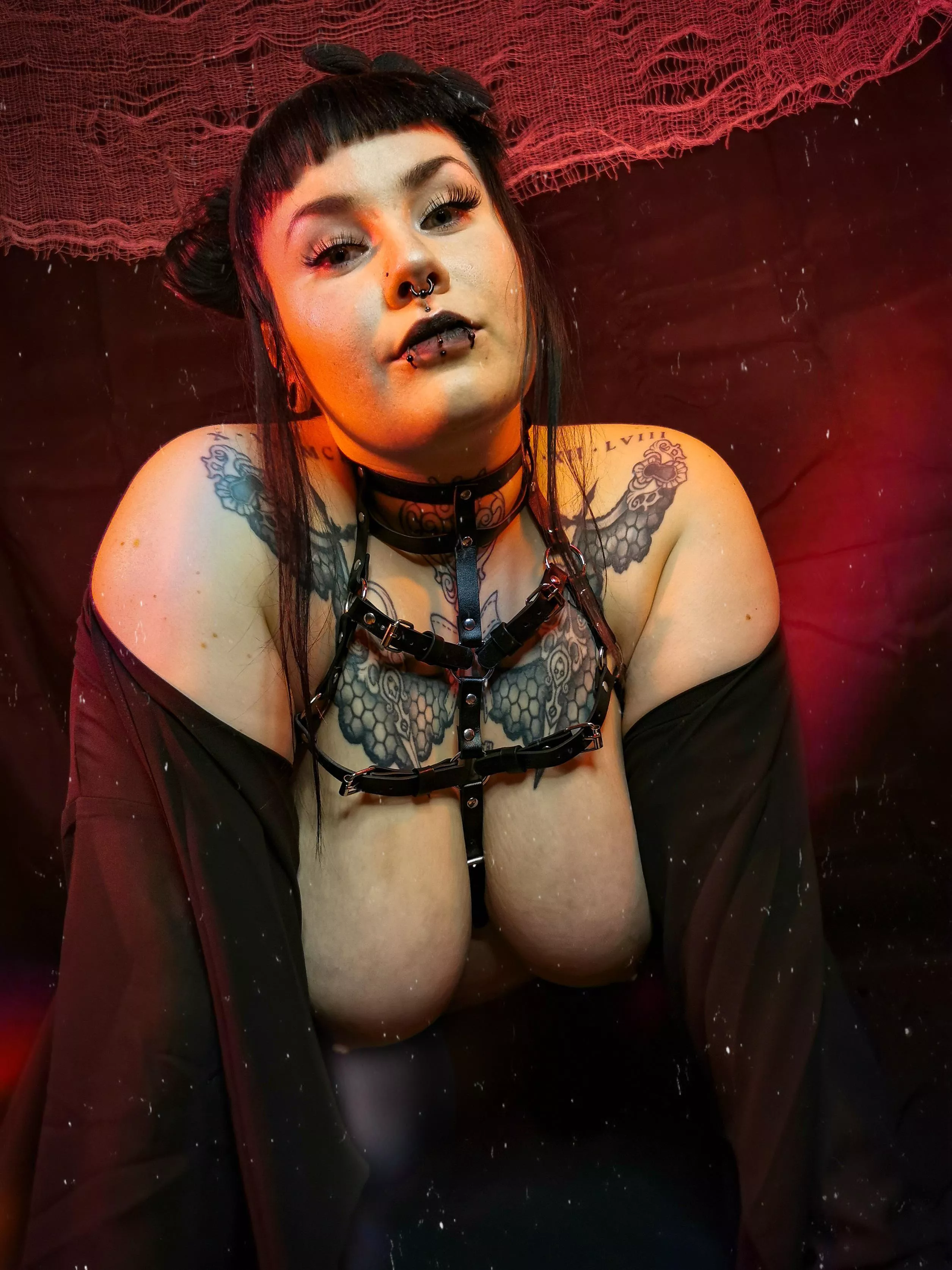 TGIF! Any plans for the weekend? 😛