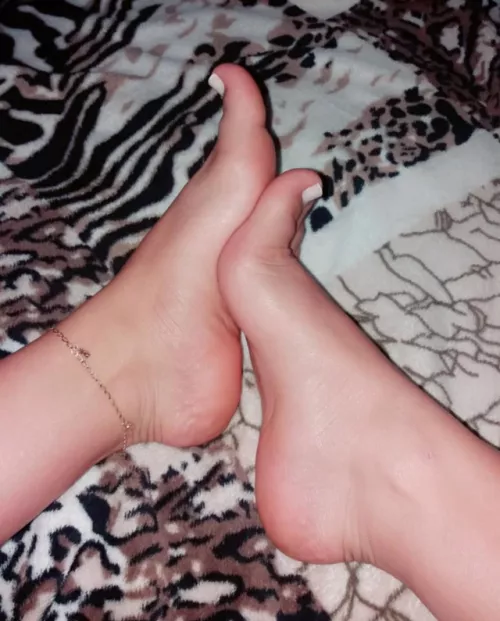 tgirl alexia here π