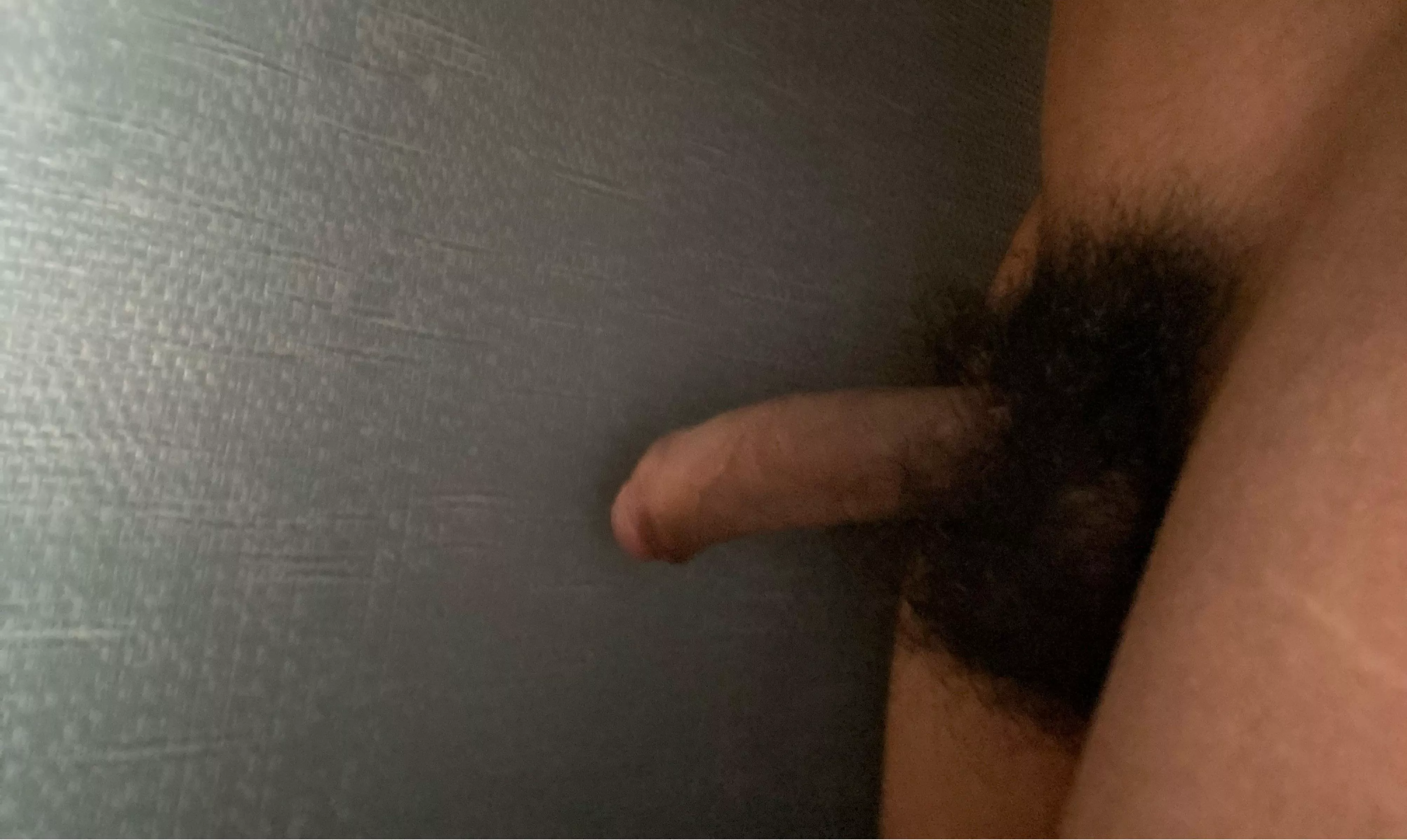 The bush hides the length🙃