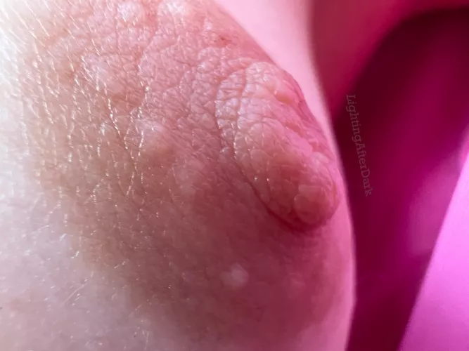 The closest up I’ve been able to get