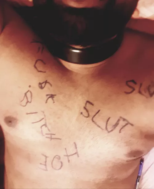 The collar feels so right