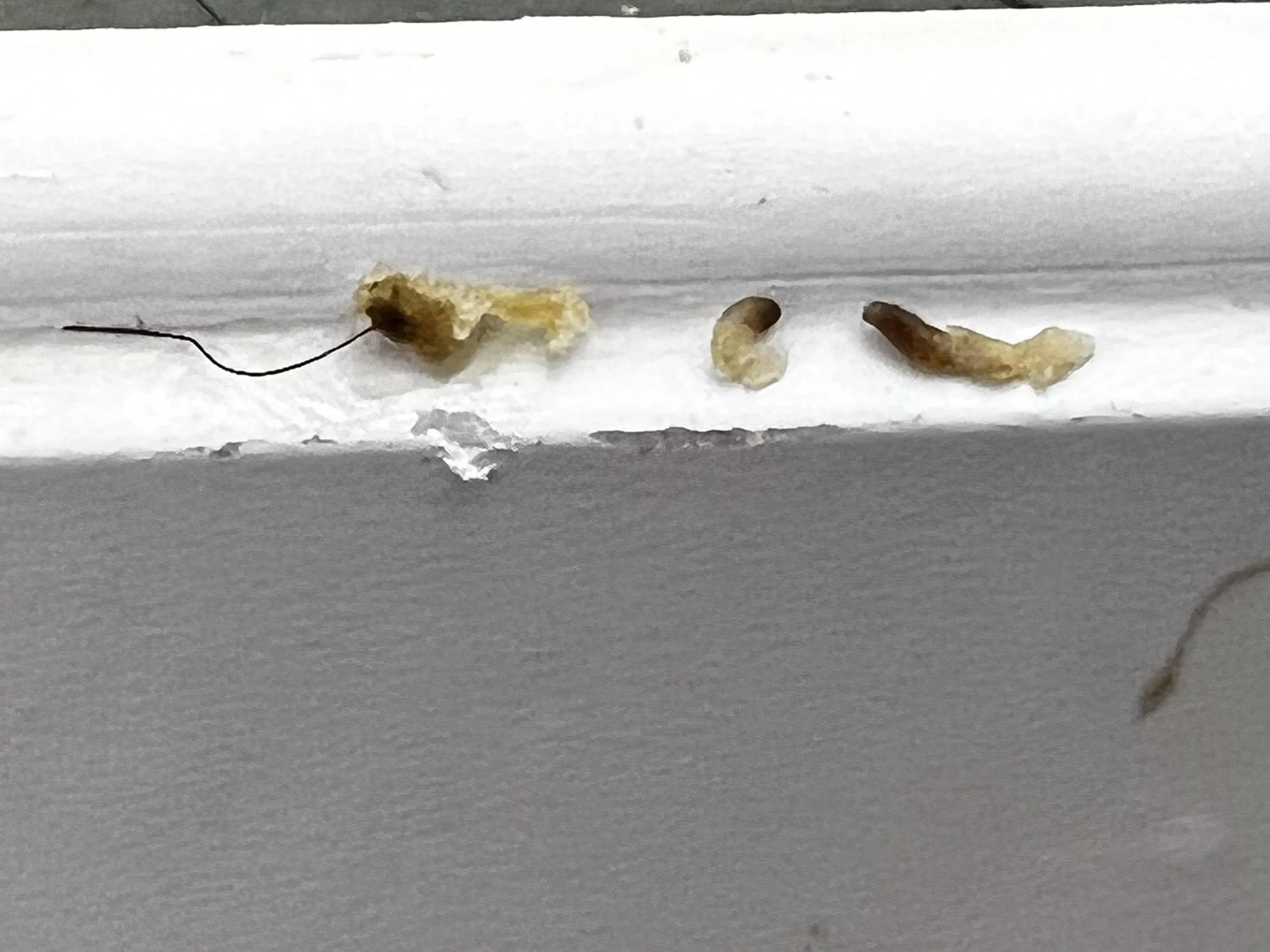 The most satisfying pops