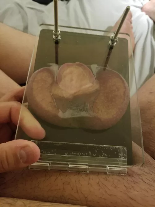 the only time I'm allowed out of chastity is for CBT sessions