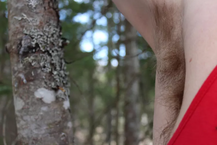 The trees up high in the clean air grow hairs too, it’s lichen.