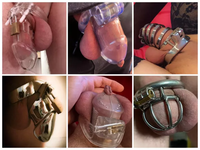 the way to the right little sissy clit. what size is it now?