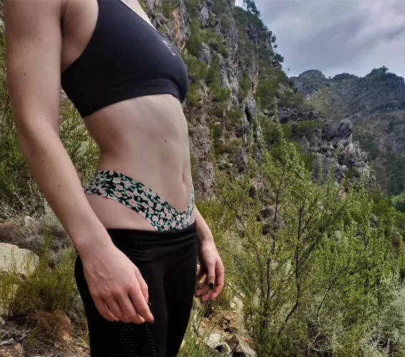 There were no flowers to photograph so I had to show mine