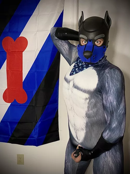 There’s a locked wolf in your closet, let him out and set him free awoooo 🐺🐾🔐