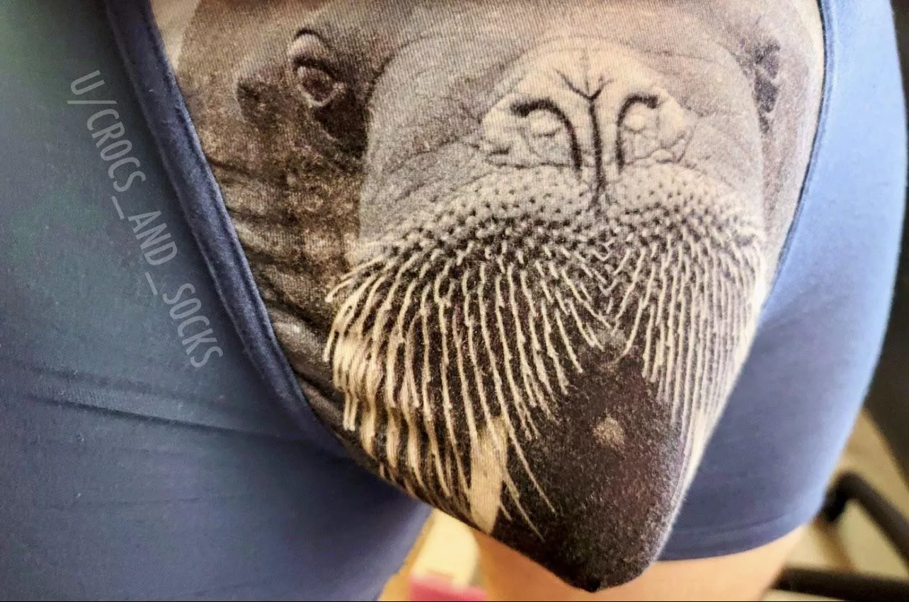 These are as comfy as they are ridiculous