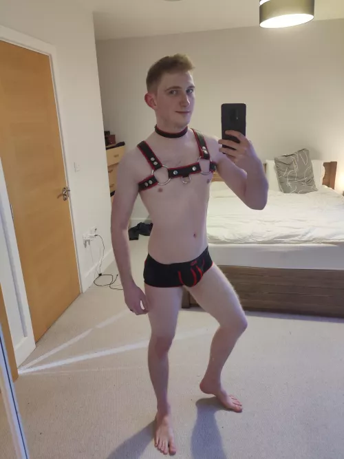 They told me it has +10 to defence