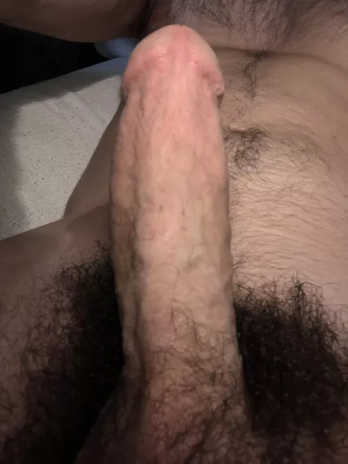 Thick and Bushy