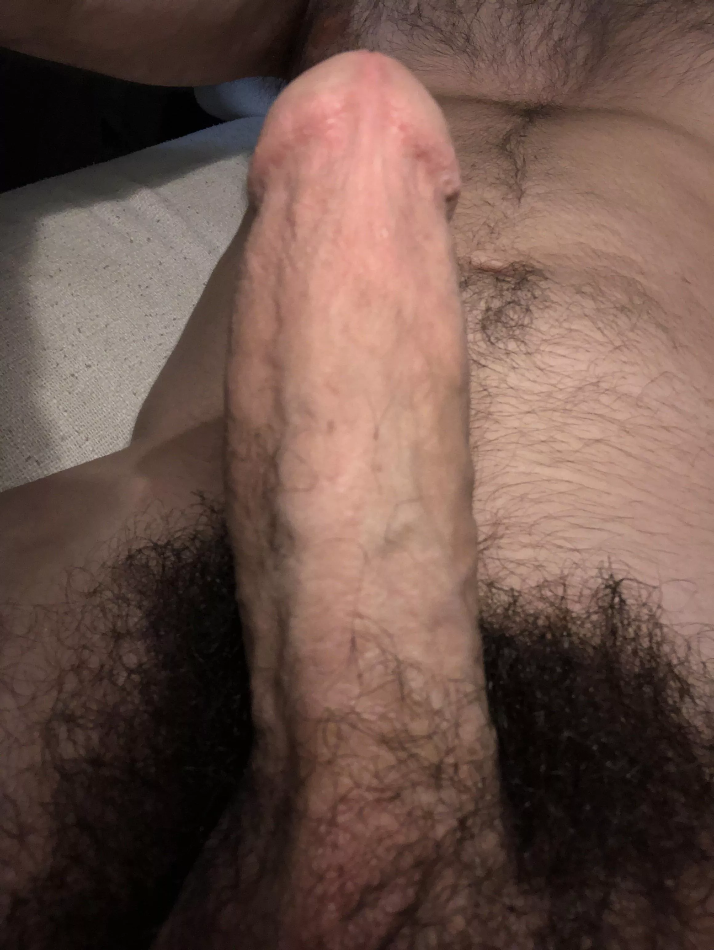 Thick and Bushy