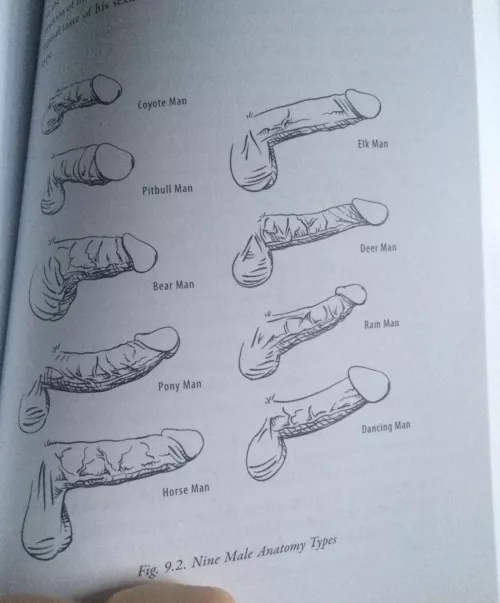 Think I’m a pit bull. What are you? Let’s compare and find out