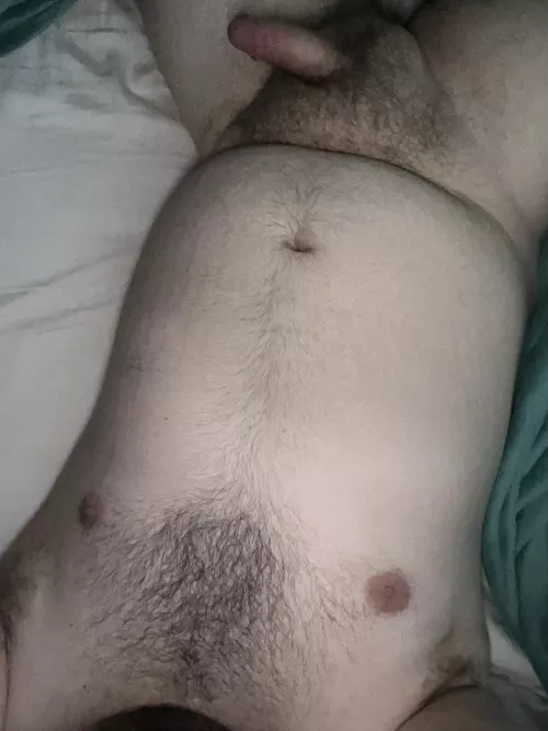 This Canadian bear is looking for a player 2! Dm me! 23