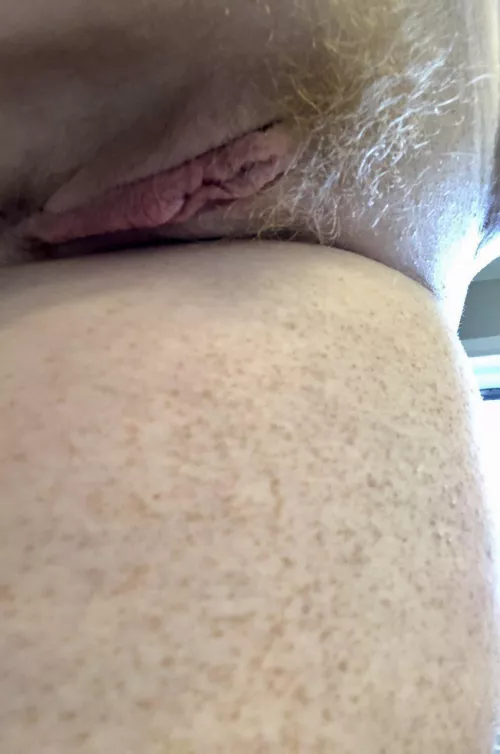 This ginger bush is a bit out of control. 😂