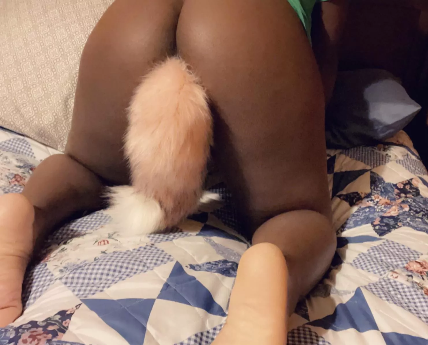 This photo was unreasonably hard to take 🦊