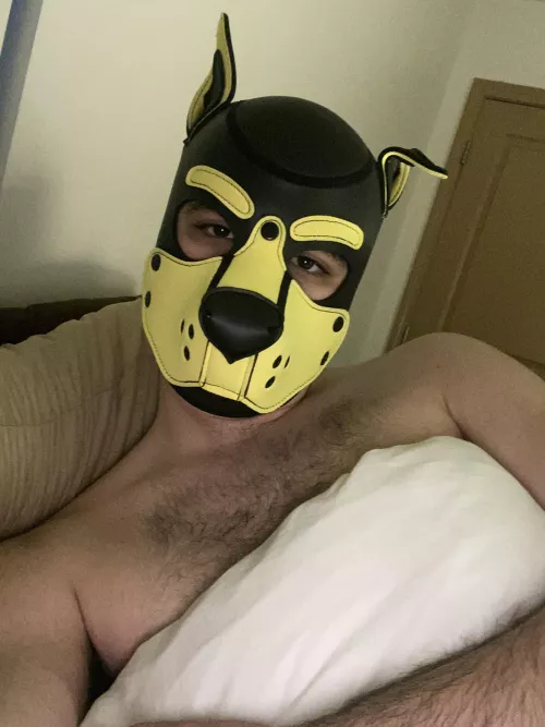 This pup had a long day and needs his nighttime cuddles, who’s coming awrooo?!