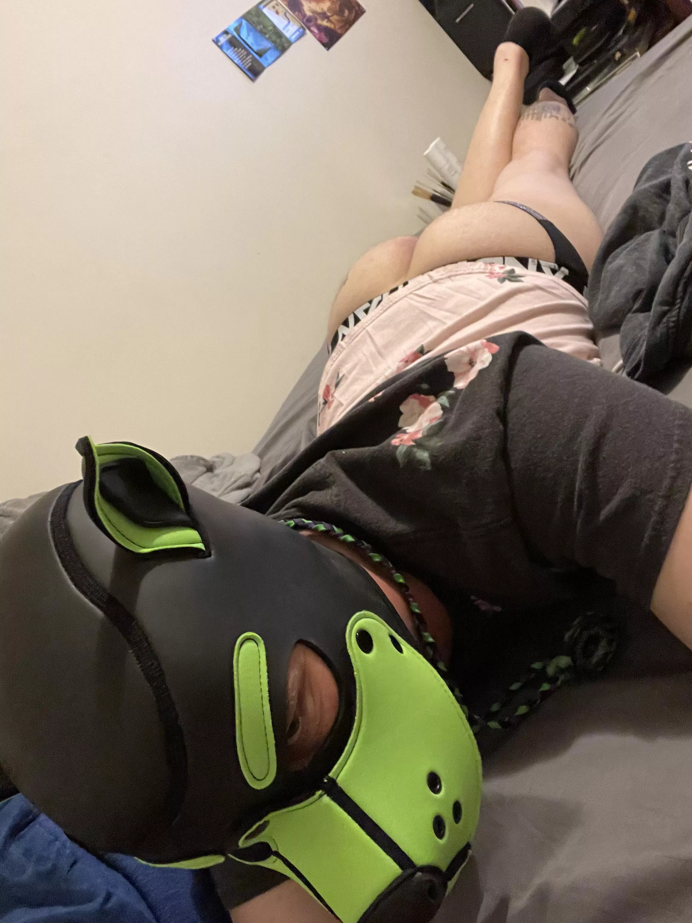 This pup is broken, and feels like a shell of what a pup once was…