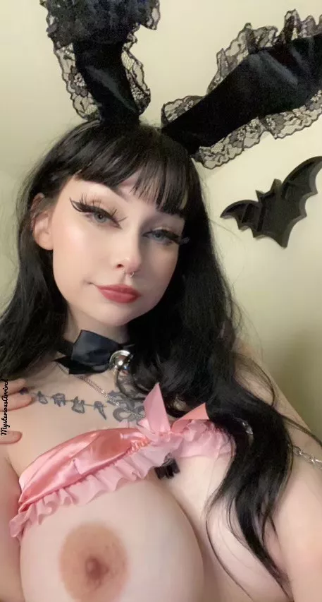 thoughts on bunny ears?