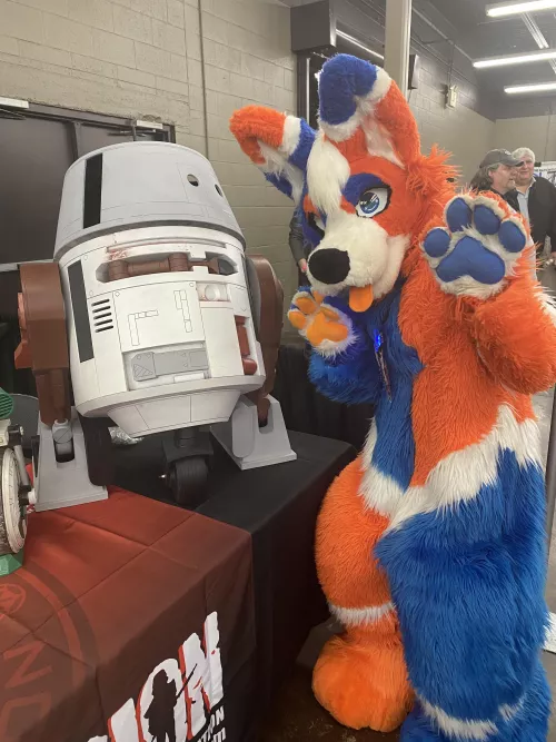 Tided found a droid! 🥰💙🧡