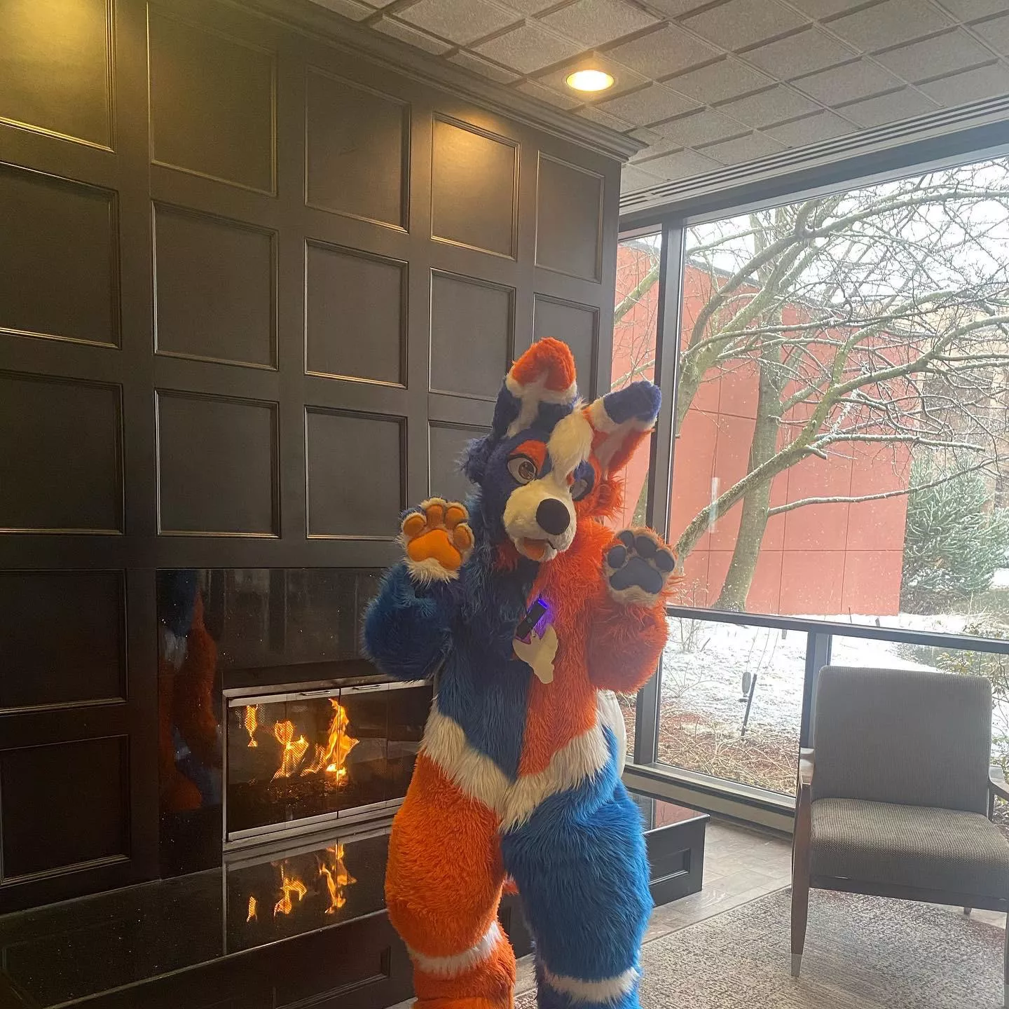 TidedPod out looking cute! 🥰💙🧡