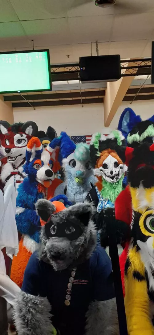Tidedpod with his fellow furry friends at a furbowl! 🥰🧡💙