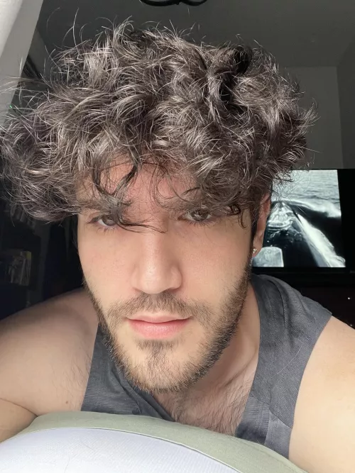 to buzz or not to buzz that is the question