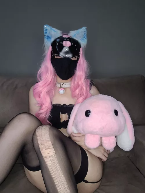 Today I'm behaved ☺️. Does a cute pet gain affection? 🥺💖