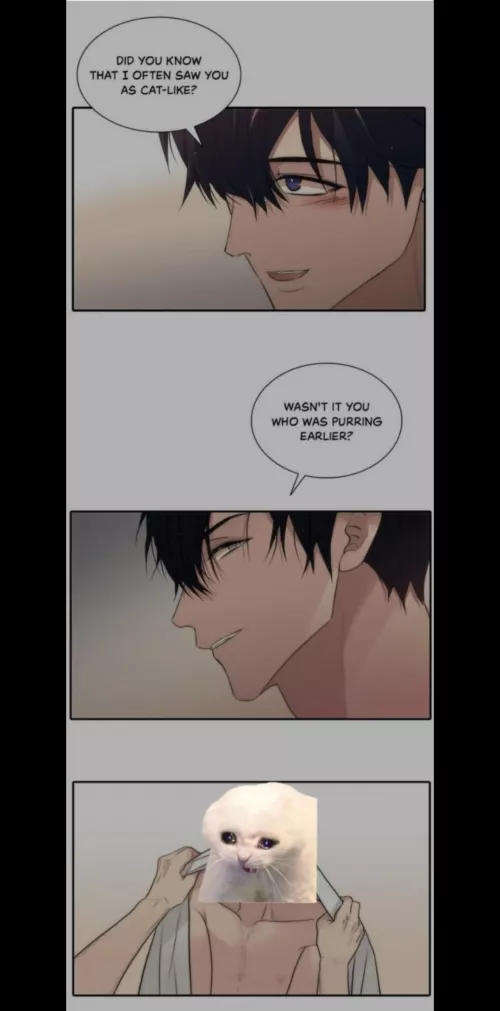 too much cat talk [Hyanghyeon Text]