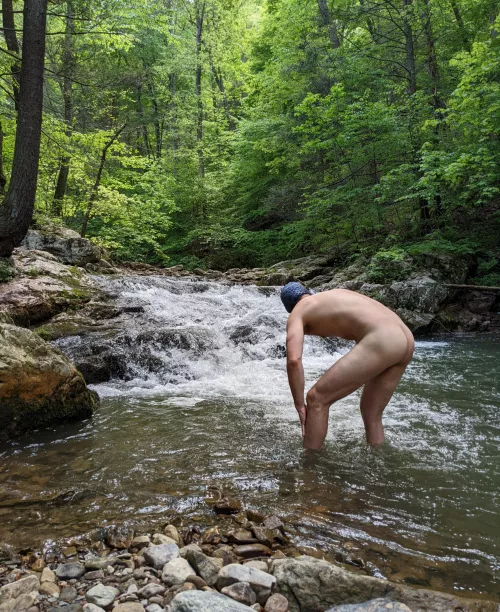 Took a dip