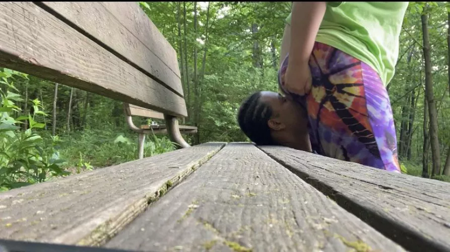 Took a trip in the woods today