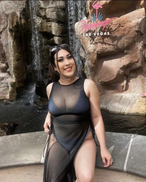 Trib this pic for me ?