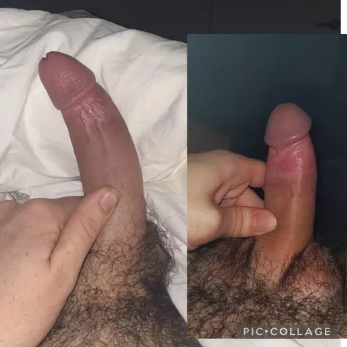 /u/Average_7_-_-D completely humiliated me and made my dick look like a tiny little boy's dick