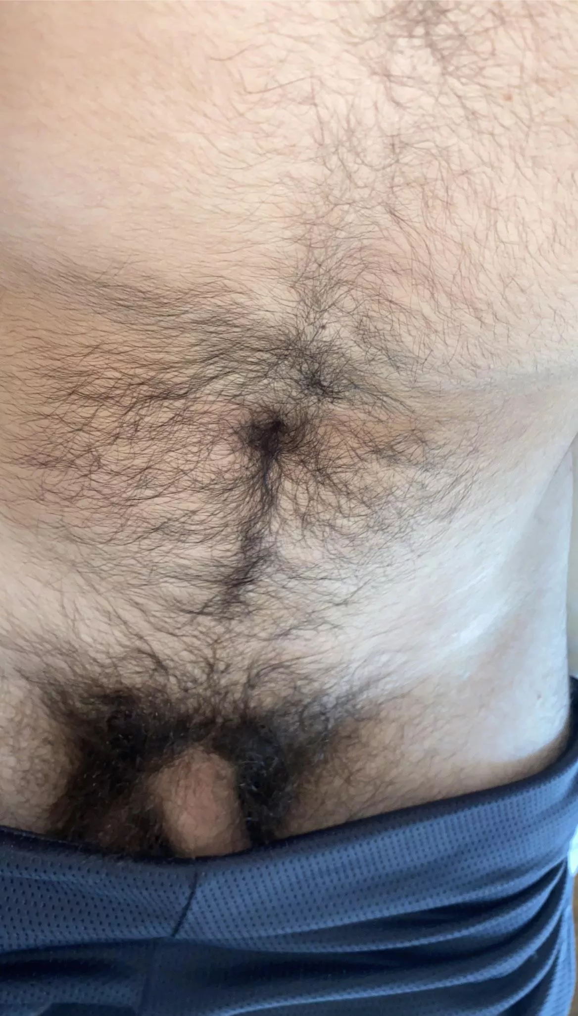 Ukrainian morning wood