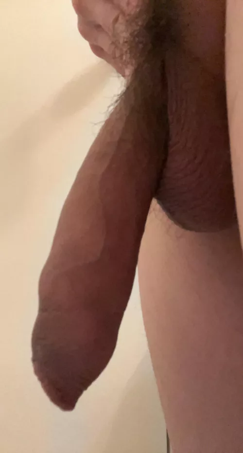 Uncut Asian Cock! #foreskin #uncut #gaysian #gayasian #gayyvr #uncutcock #uncutdick