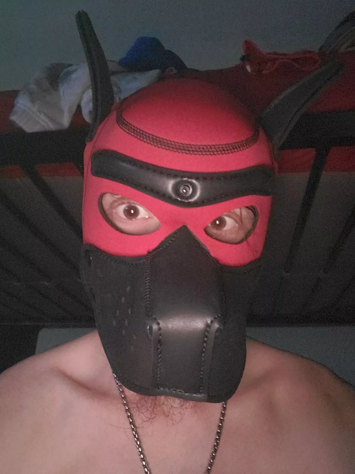 unowned pup not sure what im really doing