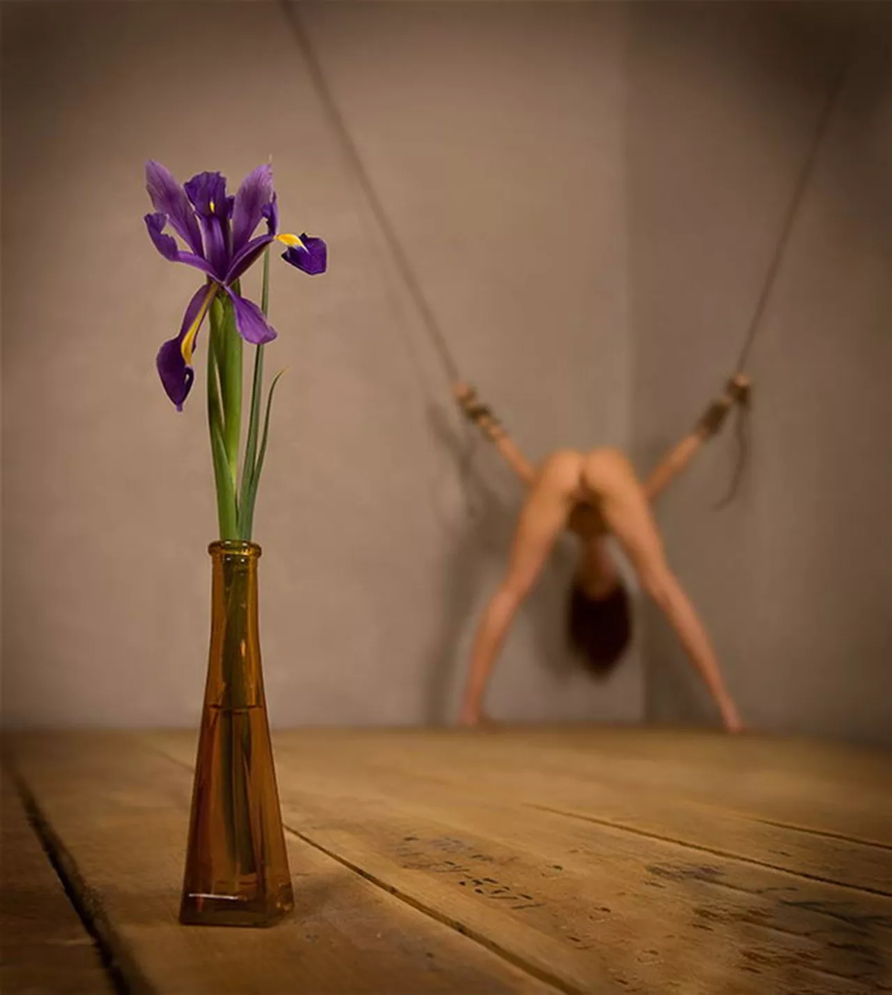 Unusual Blossom