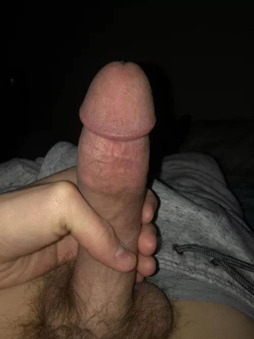 upvote if you’d suck me off