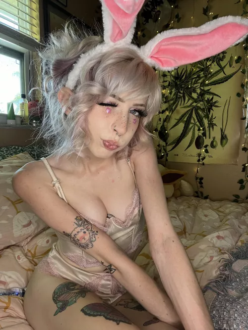 wanna fuck like rabbits