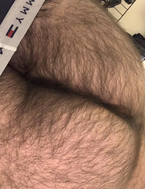 want a lick…or a sniff