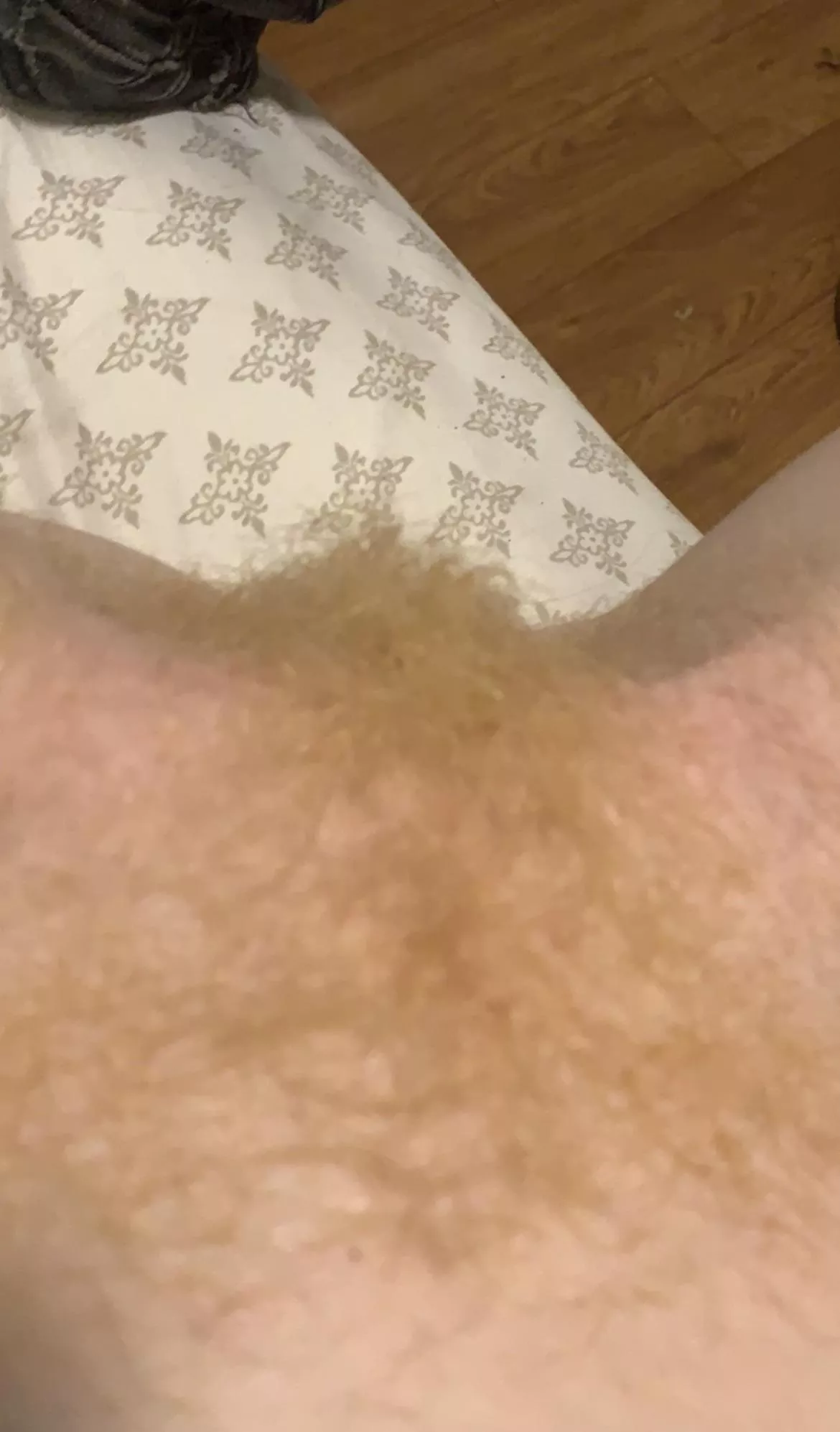 Want a taste of my ginger treat? Want a taste of my ginger treat?