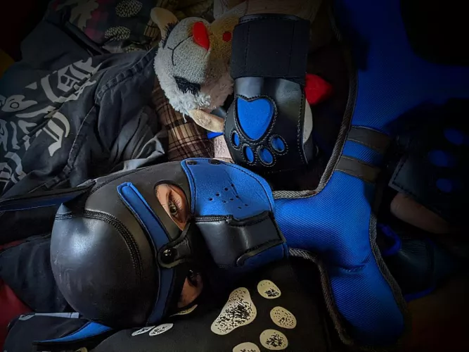 🦴 🐾🦴 Wanted to share this super cute pupper right here. Love him tons and tons. 🤍💙🖤💙🤍