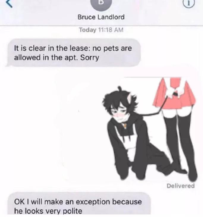 Was texting my landlord