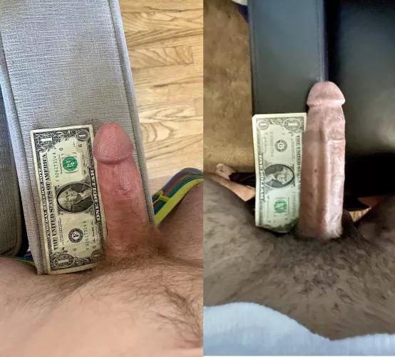 we dollar bill compared. What do you think? 💵