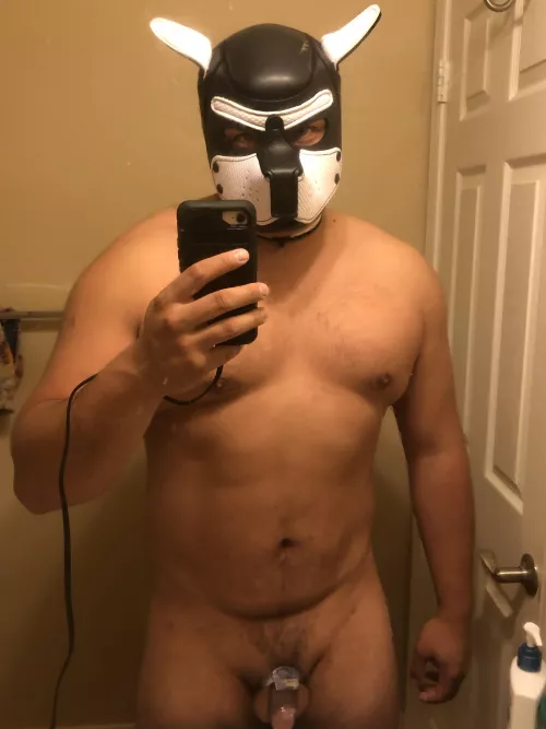 Weight is going up and I’m jacking every day so back into the cage I go! I do better when I have some structure and discipline like this