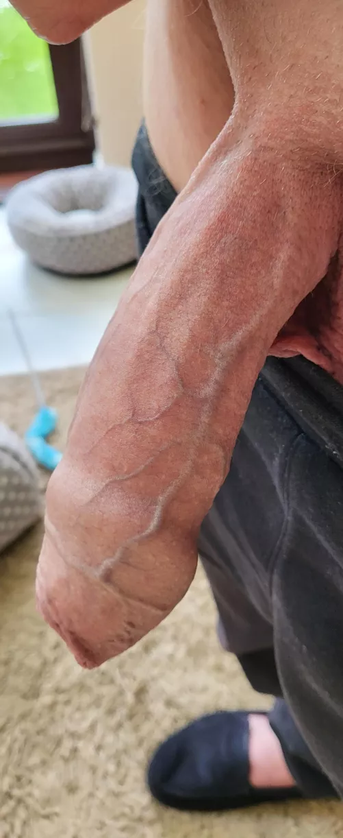 Welsh Dad, 56! What do you all think?! 🤔