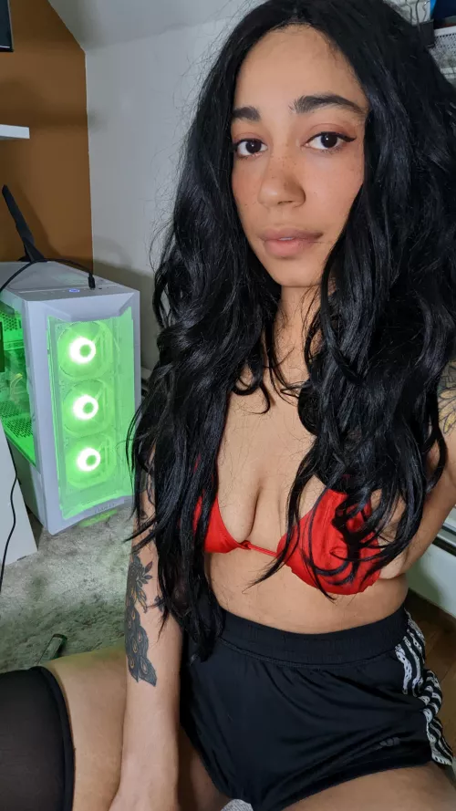 West African x German