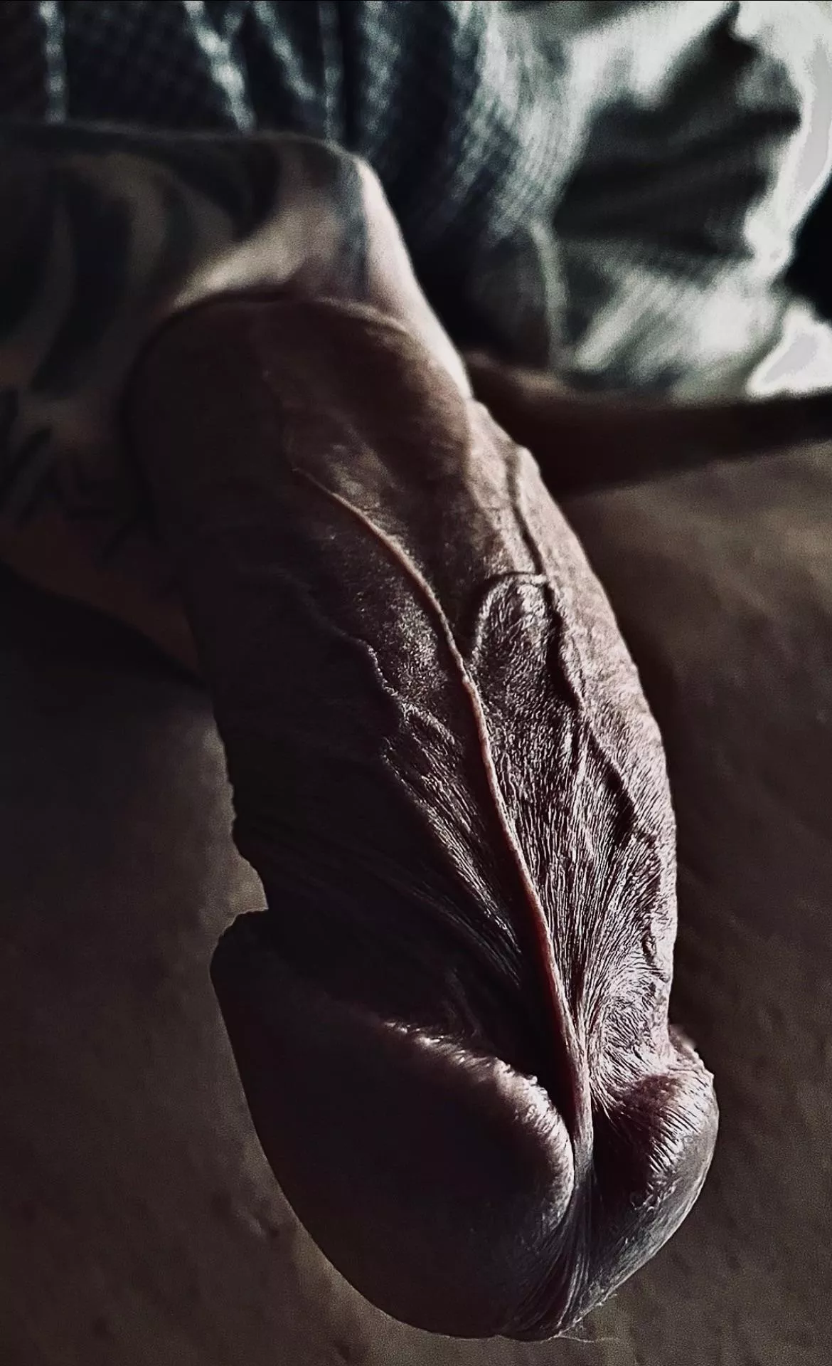 What are you up to? And what’s your verdict on my cock?