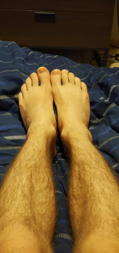 what do u think of them?